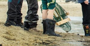 Boots in mud